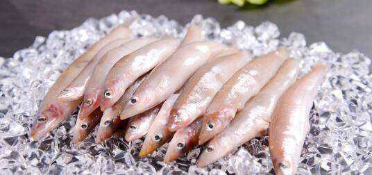 海泥鰍魚(yú)的做法,海泥鰍魚(yú)的做法大圖2