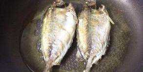 海泥鰍魚(yú)的做法,海泥鰍魚(yú)的做法大圖12