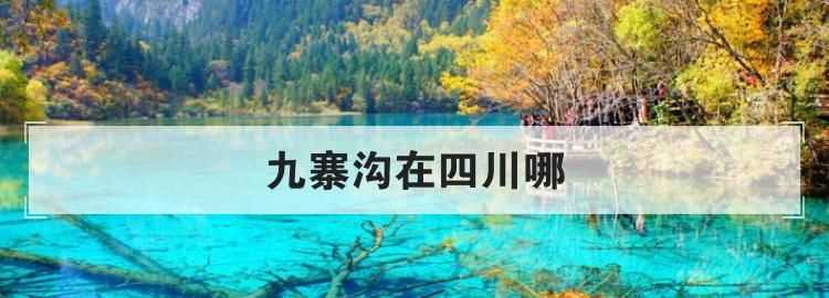 九寨溝都江堰阿壩州屬于哪個(gè)省哪個(gè)區(qū)