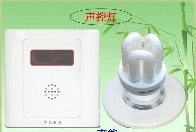 聲控是什么意思