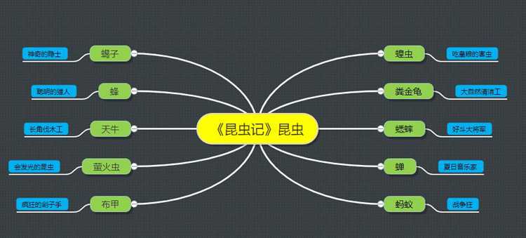 昆蟲(chóng)記前五篇昆蟲(chóng)特點(diǎn)概括