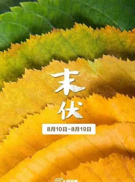 數(shù)伏從什么時(shí)候開(kāi)始算