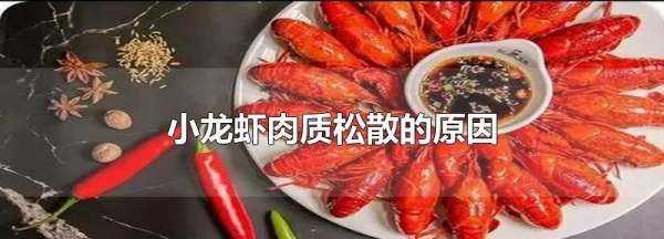 小龍蝦煮出來肉散了是什么原因,為什么做的小龍蝦肉散了圖2