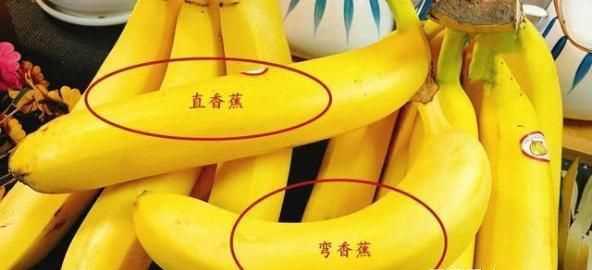 成熟的香蕉形狀為什么大都是彎的?