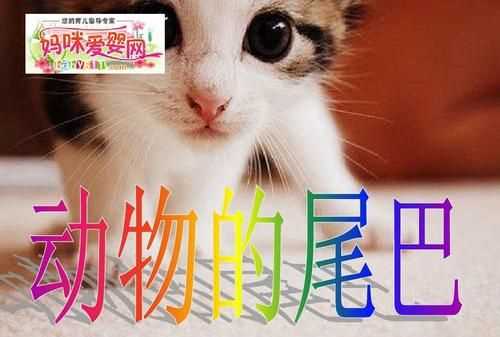 什么動物尾巴扁