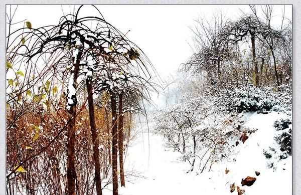 瑞雪兆豐年的下一句,瑞雪兆豐年的上一句和下一句分別是什么圖4