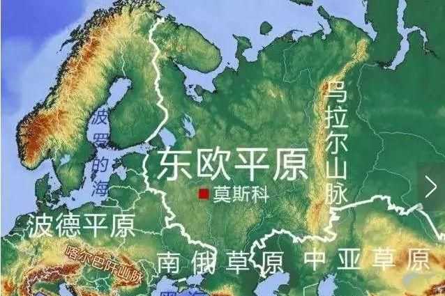 中國森林面積達220萬平方千米占其國土面積的百分之多少，第九次森林普查我國森林面積居世界第幾位？圖3