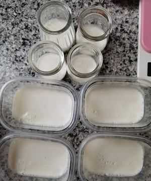 果凍不凝固怎么補救,自制奶酪不凝固是什么原因圖7