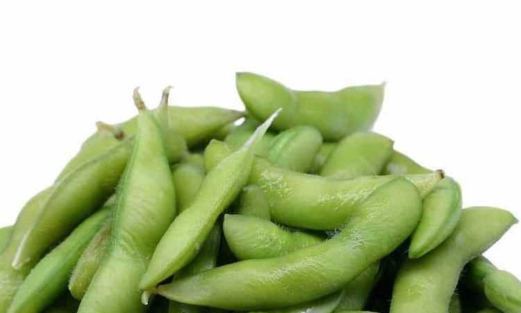 一斤毛豆有多少熱量