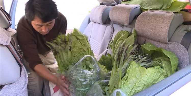 蔬菜小販一天賣(mài)不完的菜如何保鮮存放