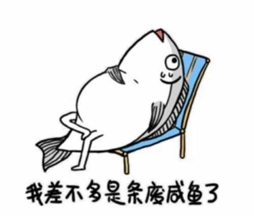 網(wǎng)絡(luò)語(yǔ)咸魚(yú)是什么意思?