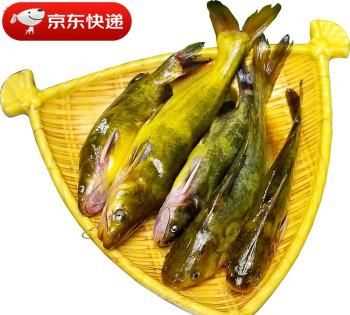 黃古魚的營養(yǎng)價(jià)值及功效與作用