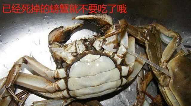 蒸螃蟹需要多長時間才能熟，螃蟹需要蒸多長時間？圖4