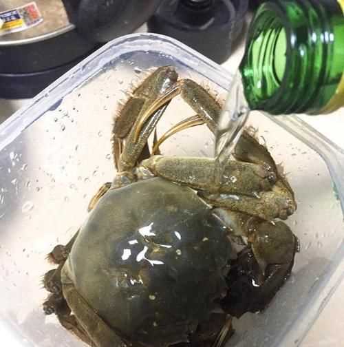 活螃蟹怎么保存過(guò)夜放水還是不放水