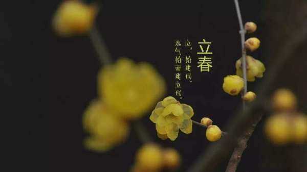 清明前面是什么節(jié)氣,清明節(jié)的前一個(gè)節(jié)日是什么節(jié)日?qǐng)D3