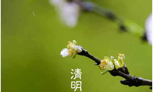 清明前面是什么節(jié)氣,清明節(jié)的前一個(gè)節(jié)日是什么節(jié)日?qǐng)D5