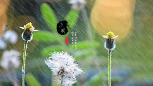 清明節(jié)前面的一個(gè)節(jié)氣是什么節(jié)氣