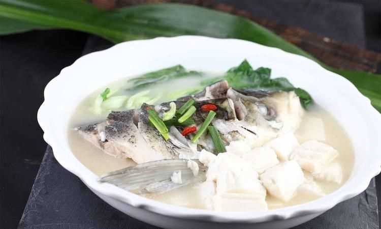做魚頭豆腐湯用什么樣的豆腐好一點(diǎn)