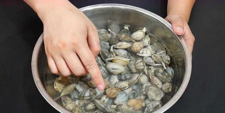 花甲肉怎么洗干凈