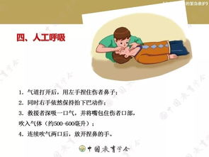 安全救護知識應學(xué)會(huì )
