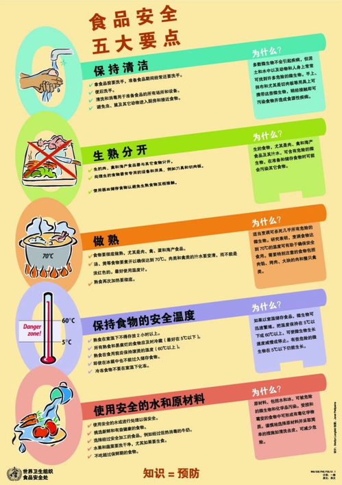 食品安全重點(diǎn)知識