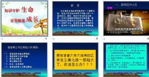 知識(shí)守護(hù)生命安全鑄就成長