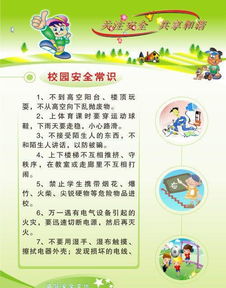 小學(xué)生道路安全知識內容大全