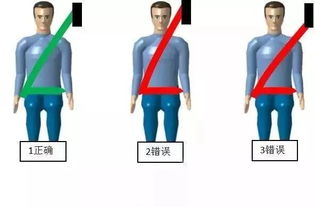 安全帶小知識