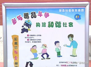 關(guān)于安全禁毒的知識