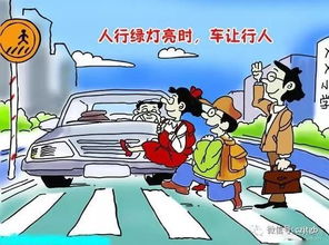 汽車(chē)安全交通知識