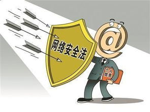網(wǎng)絡(luò )安全法屬于知識產(chǎn)權