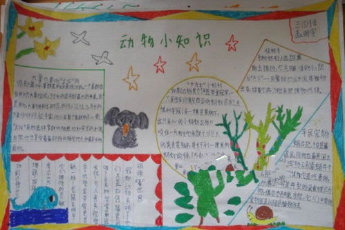 三級小學(xué)生安全知識小報內容