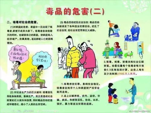 小學(xué)生禁毒防邪安全知識