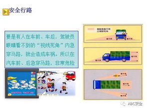 交通安全知識培訓(xùn)內(nèi)容