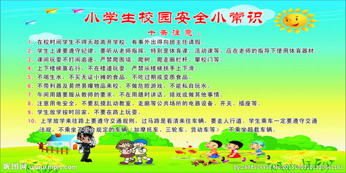 安全小知識小學(xué)作文100字
