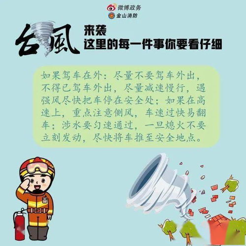 預防臺風(fēng)安全知識作文