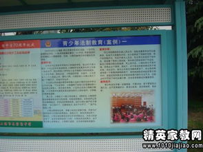 安全教育知識學(xué)科總結