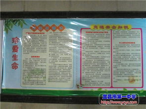 五月份國(guó)旗下安全知識(shí)講話(huà)