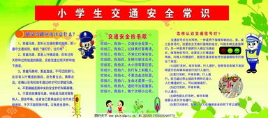 小學生基礎交通安全知識