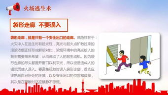 安全知識競賽心得體會(huì )ppt