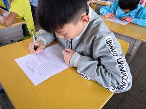 網(wǎng)絡(luò )安全小學(xué)知識問(wèn)答