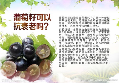 安全知識為主題的宣傳小畫(huà)報