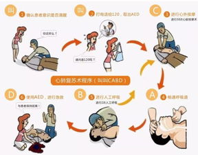 安全急救知識(shí)心肺復(fù)蘇