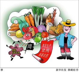 紅蟻蟲(chóng)的安全知識