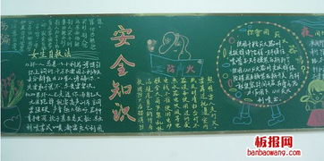 選廠安全知識黑板報(bào)