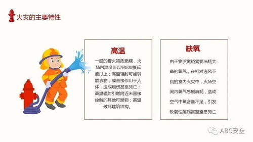 消防安全知識陪訓總結(jié)