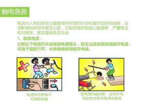 用電安全知識培訓豆丁
