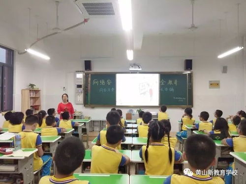 小學(xué)網(wǎng)絡(luò )安全知識主題班會(huì )記錄