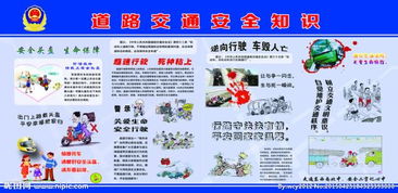 青少道路安全知識宣傳