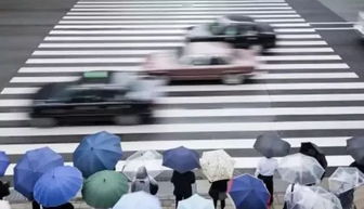 教練員的雨季安全行車(chē)知識